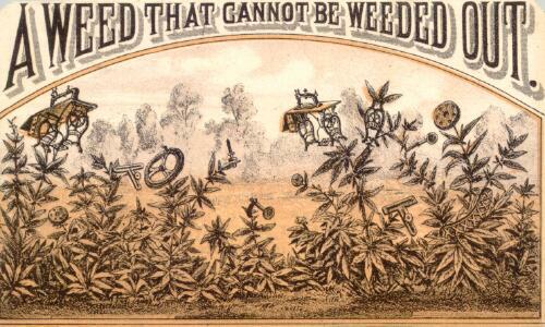 Weed Sewing Machine Trade Card